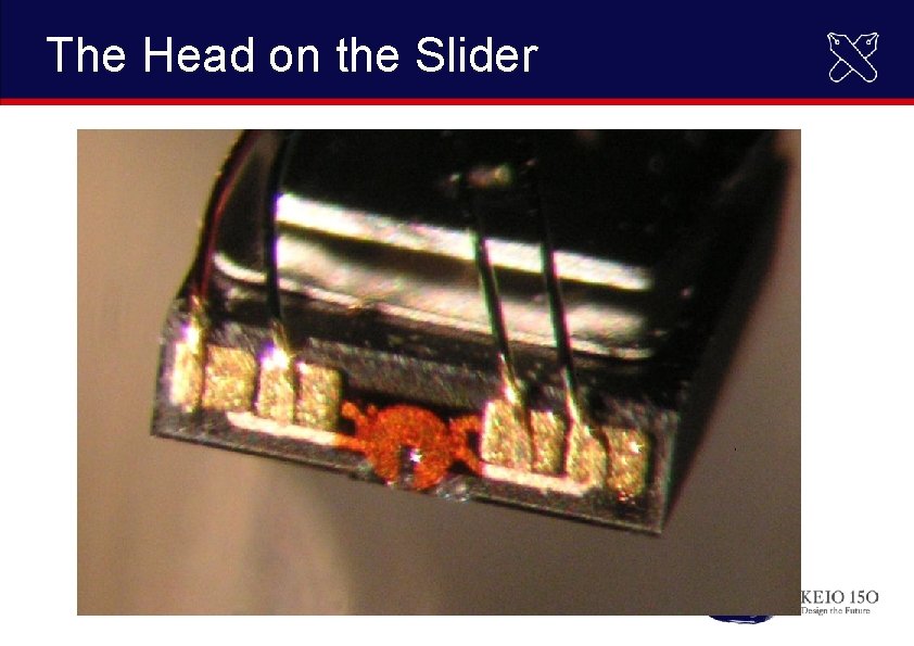 The Head on the Slider 