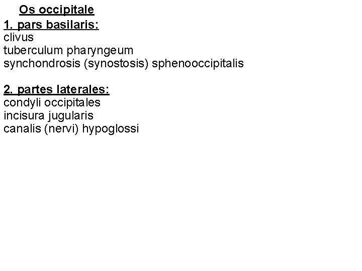 Os occipitale 1. pars basilaris: clivus tuberculum pharyngeum synchondrosis (synostosis) sphenooccipitalis 2. partes laterales: