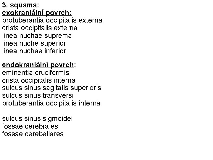 3. squama: exokraniální povrch: protuberantia occipitalis externa crista occipitalis externa linea nuchae suprema linea