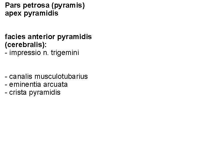 Pars petrosa (pyramis) apex pyramidis facies anterior pyramidis (cerebralis): - impressio n. trigemini -