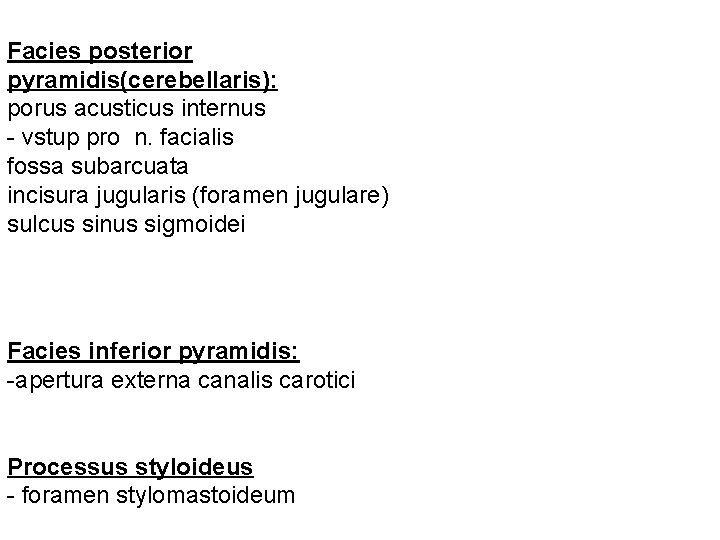 Facies posterior pyramidis(cerebellaris): porus acusticus internus - vstup pro n. facialis fossa subarcuata incisura