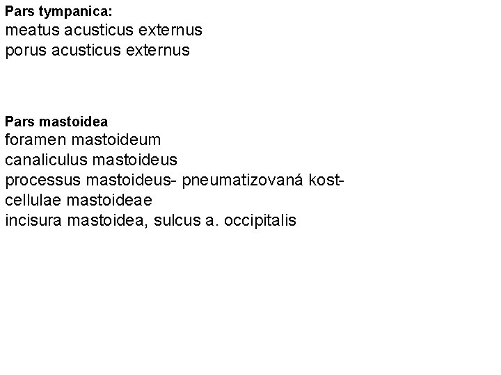 Pars tympanica: meatus acusticus externus porus acusticus externus Pars mastoidea foramen mastoideum canaliculus mastoideus