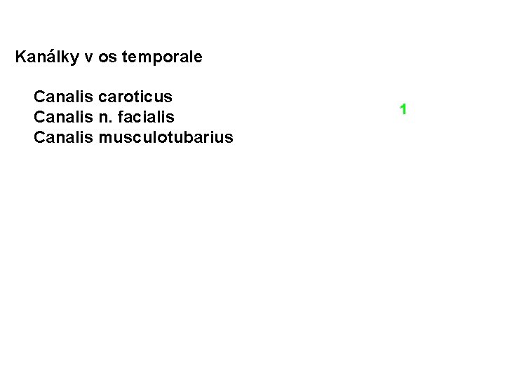 Kanálky v os temporale 1. Canalis caroticus 2. Canalis n. facialis 3. Canalis musculotubarius