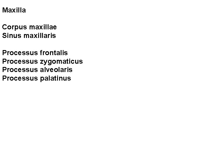 Maxilla Corpus maxillae Sinus maxillaris Processus frontalis Processus zygomaticus Processus alveolaris Processus palatinus 