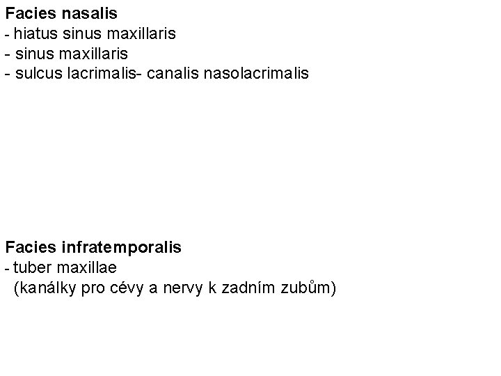 Facies nasalis - hiatus sinus maxillaris - sulcus lacrimalis- canalis nasolacrimalis Facies infratemporalis -