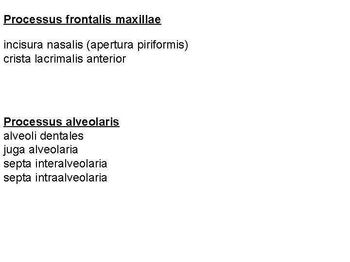 Processus frontalis maxillae incisura nasalis (apertura piriformis) crista lacrimalis anterior Processus alveolaris alveoli dentales