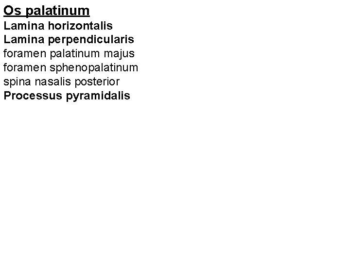 Os palatinum Lamina horizontalis Lamina perpendicularis foramen palatinum majus foramen sphenopalatinum spina nasalis posterior