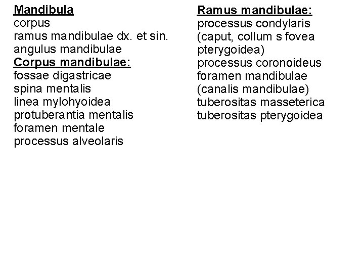 Mandibula corpus ramus mandibulae dx. et sin. angulus mandibulae Corpus mandibulae: fossae digastricae spina