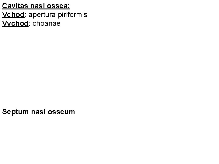 Cavitas nasi ossea: Vchod: apertura piriformis Vychod: choanae Septum nasi osseum 