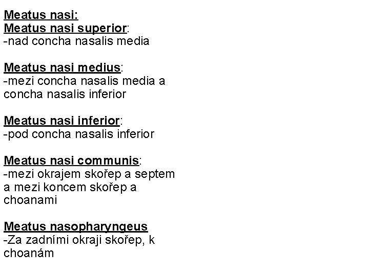 Meatus nasi: Meatus nasi superior: -nad concha nasalis media Meatus nasi medius: -mezi concha