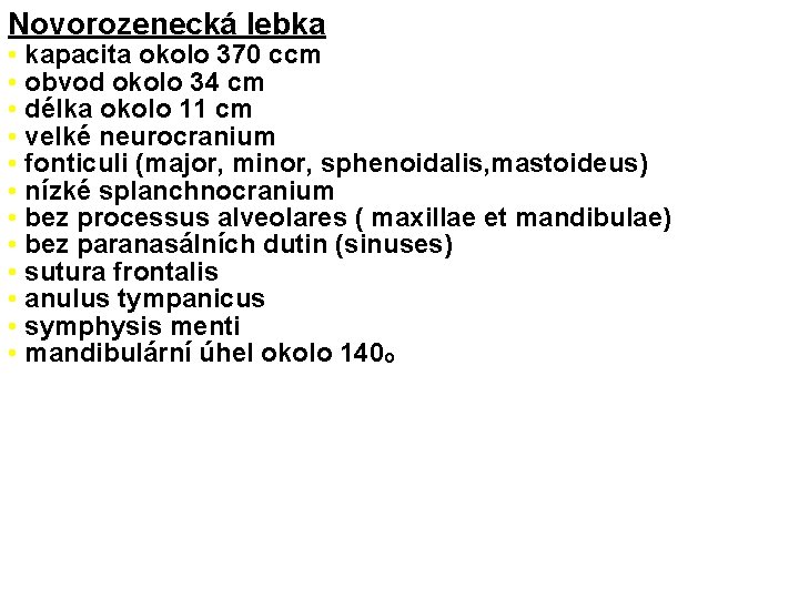 Novorozenecká lebka • kapacita okolo 370 ccm • obvod okolo 34 cm • délka