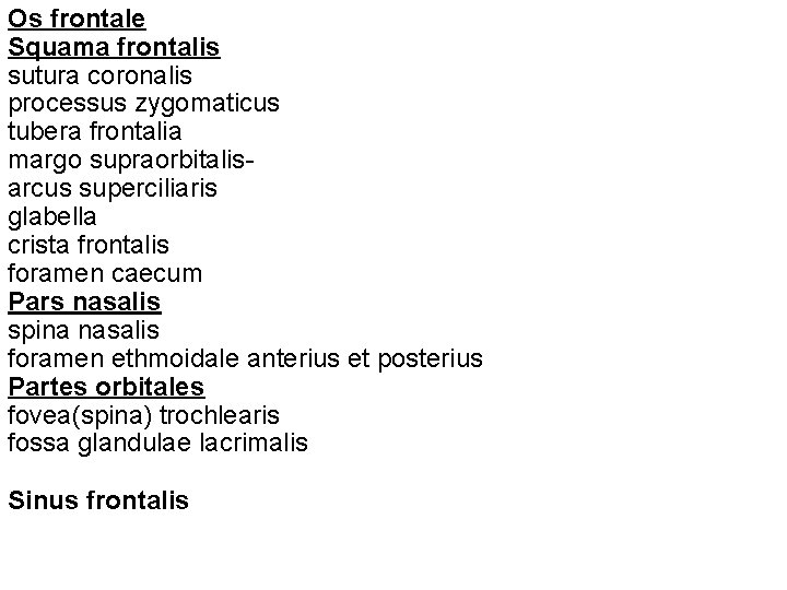 Os frontale Squama frontalis sutura coronalis processus zygomaticus tubera frontalia margo supraorbitalisarcus superciliaris glabella