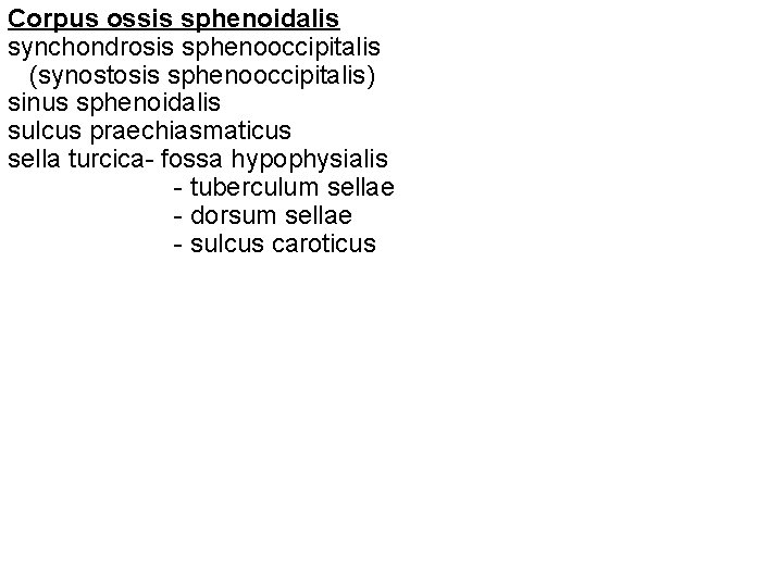 Corpus ossis sphenoidalis synchondrosis sphenooccipitalis (synostosis sphenooccipitalis) sinus sphenoidalis sulcus praechiasmaticus sella turcica- fossa