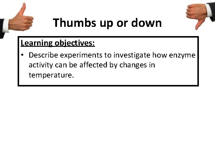 Thumbs up or down Learning objectives: • Describe experiments to investigate how enzyme activity Thumbs up or down Learning objectives: • Describe experiments to investigate how enzyme activity