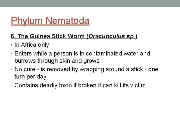 Phylum Nematoda 6. The Guinea Stick Worm (Dracunculus sp. ) • In Africa only