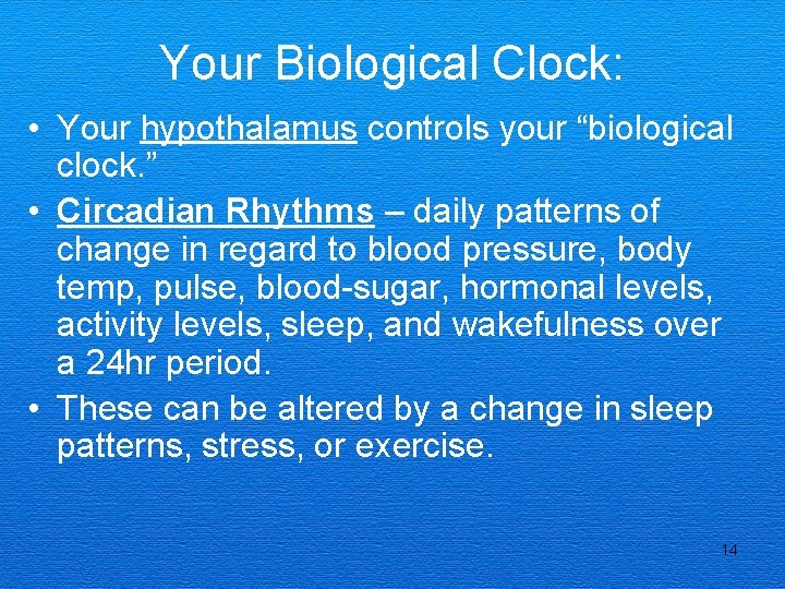 Your Biological Clock: • Your hypothalamus controls your “biological clock. ” • Circadian Rhythms