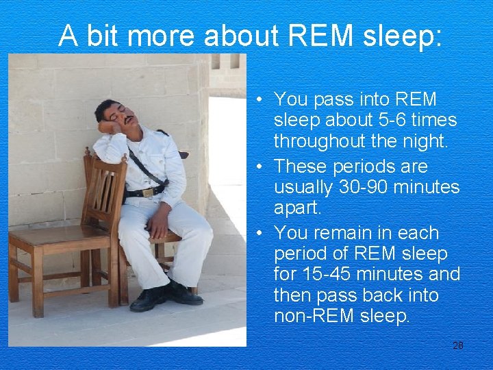 A bit more about REM sleep: • You pass into REM sleep about 5