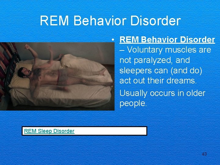 REM Behavior Disorder • REM Behavior Disorder – Voluntary muscles are not paralyzed, and