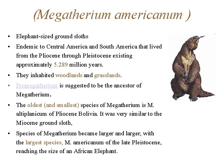 (Megatherium americanum ) • Elephant-sized ground sloths • Endemic to Central America and South