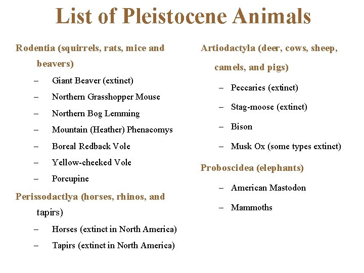 List of Pleistocene Animals Rodentia (squirrels, rats, mice and beavers) Artiodactyla (deer, cows, sheep,