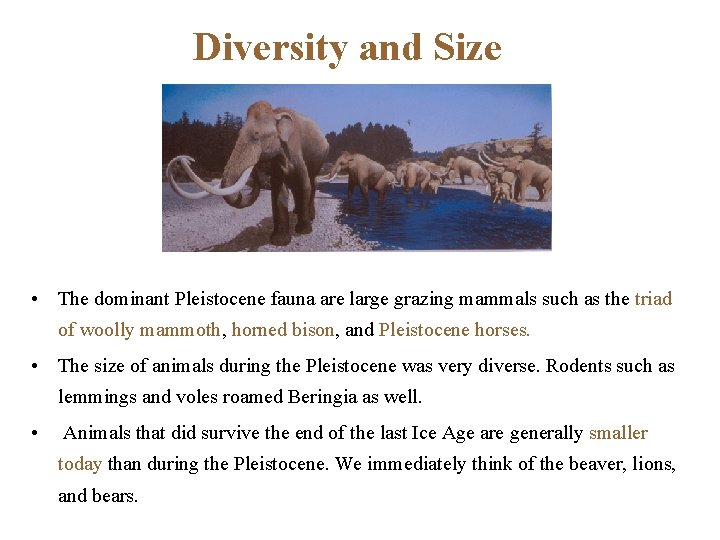 Diversity and Size • The dominant Pleistocene fauna are large grazing mammals such as