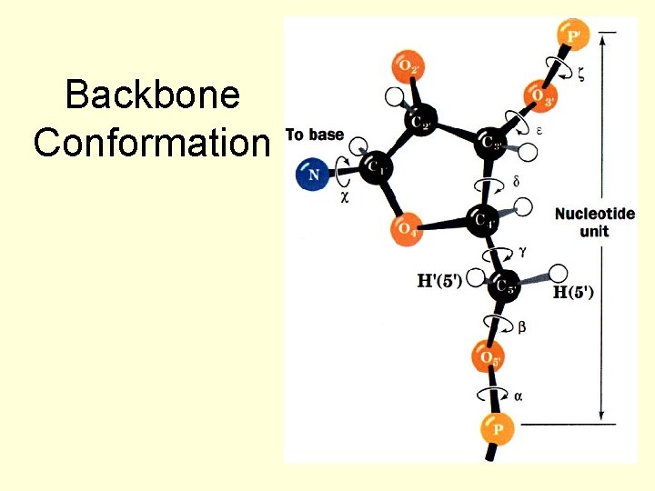Backbone Conformation 