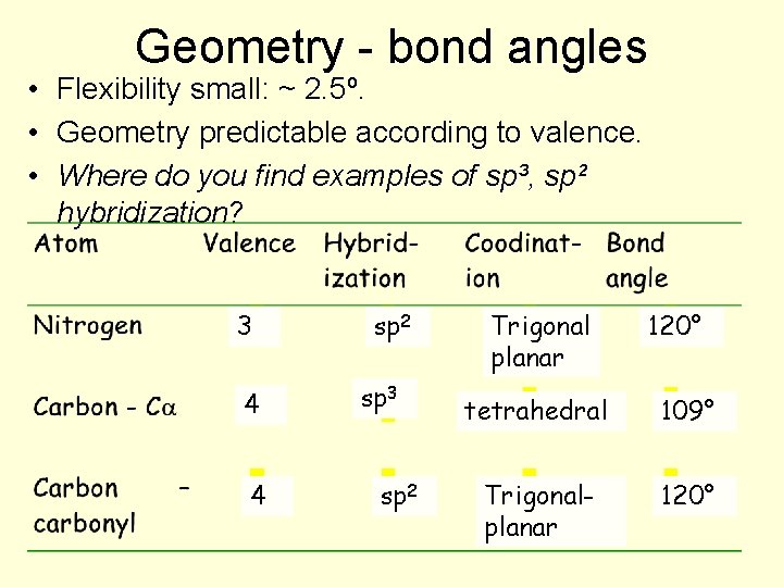 Geometry - bond angles • Flexibility small: ~ 2. 5º. • Geometry predictable according