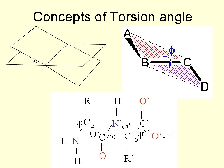 Concepts of Torsion angle 