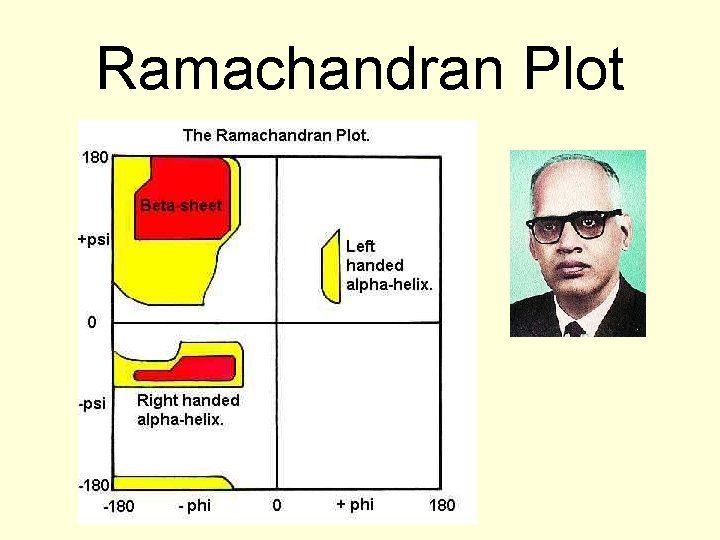 Ramachandran Plot 