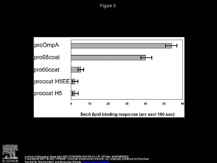 Figure 5 Journal of Biological Chemistry 2001 27637909 -37915 DOI: (10. 1074/jbc. M 105483200)