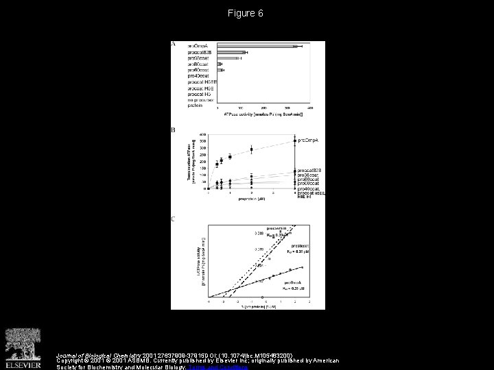 Figure 6 Journal of Biological Chemistry 2001 27637909 -37915 DOI: (10. 1074/jbc. M 105483200)