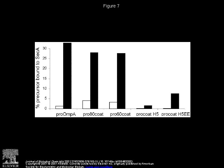 Figure 7 Journal of Biological Chemistry 2001 27637909 -37915 DOI: (10. 1074/jbc. M 105483200)