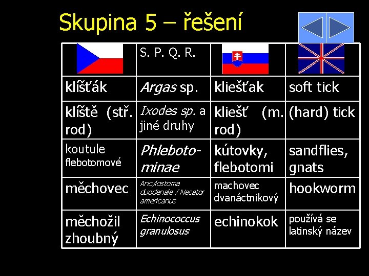 Skupina 5 – řešení S. P. Q. R. klíšťák Argas sp. kliešťak klíště (stř.