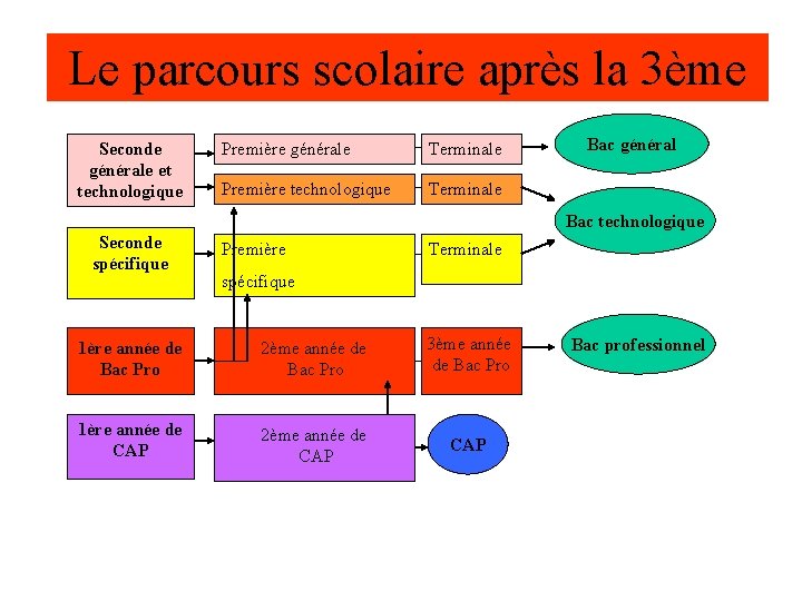 Le parcours scolaire après la 3ème Seconde générale et technologique Première générale Terminale Première