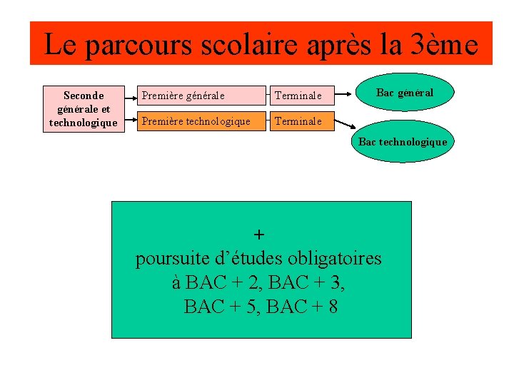 Le parcours scolaire après la 3ème Seconde générale et technologique Première générale Terminale Première