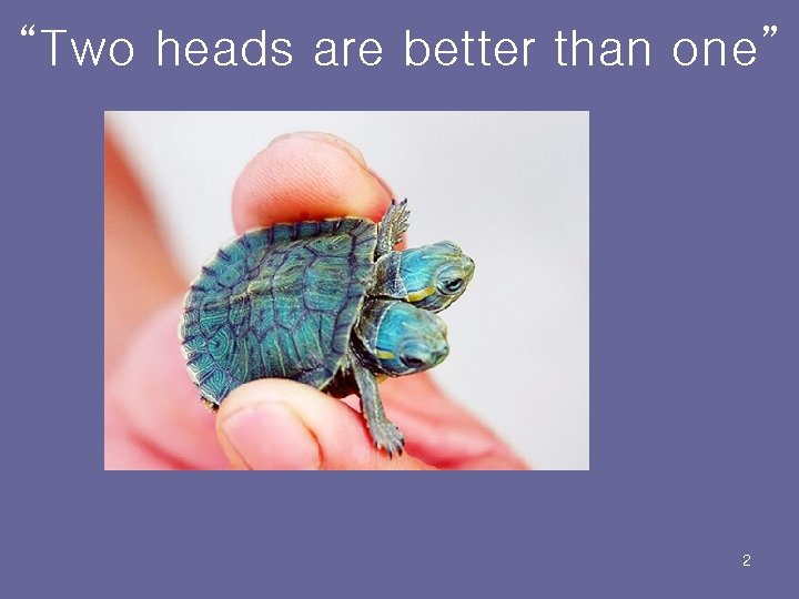 “Two heads are better than one” 2 