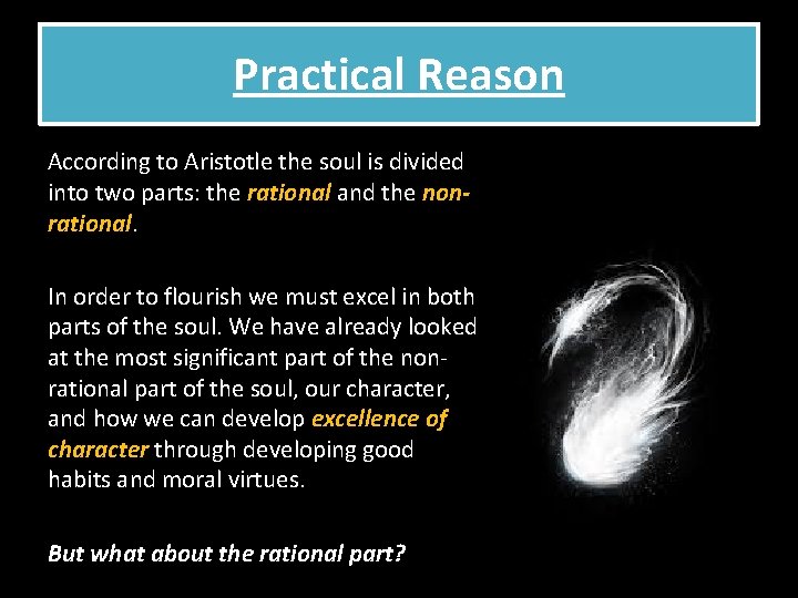 Practical Reason According to Aristotle the soul is divided into two parts: the rational