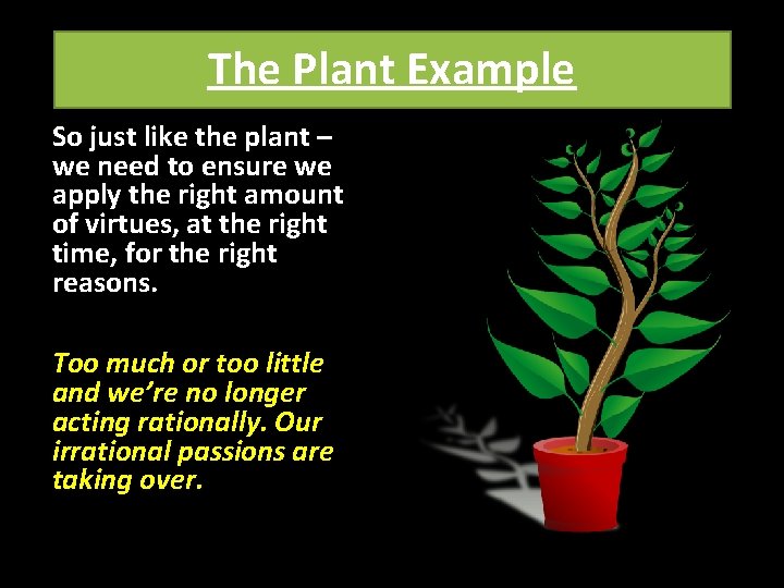 The Plant Example So just like the plant – we need to ensure we