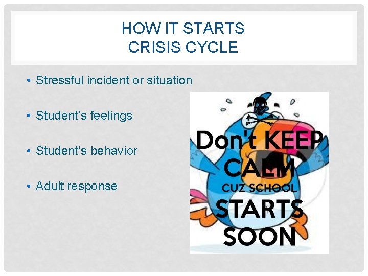 HOW IT STARTS CRISIS CYCLE • Stressful incident or situation • Student’s feelings •