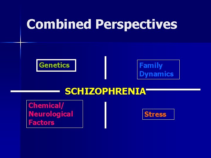 Combined Perspectives Genetics Family Dynamics SCHIZOPHRENIA Chemical/ Neurological Factors Stress 