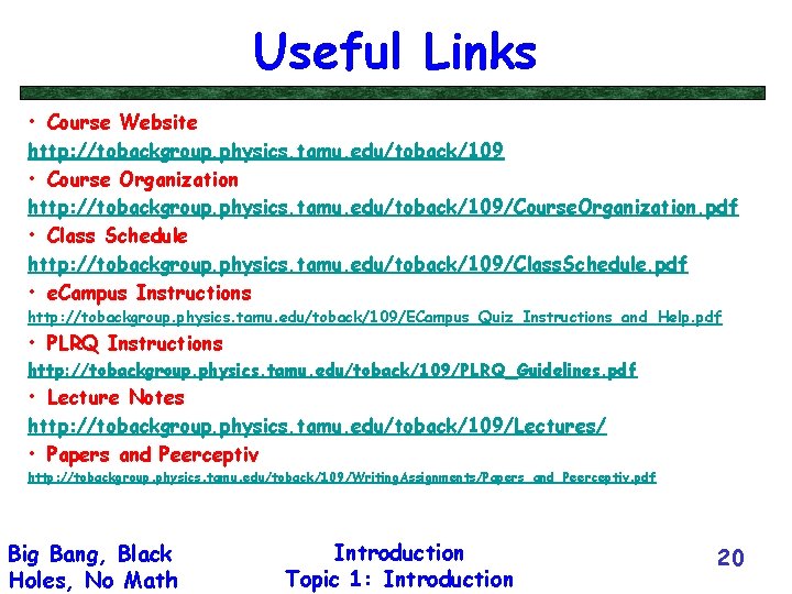 Useful Links • Course Website http: //tobackgroup. physics. tamu. edu/toback/109 • Course Organization http: