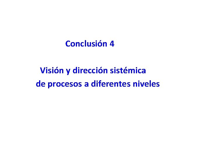 Conclusión 4 Visión y dirección sistémica de procesos a diferentes niveles 