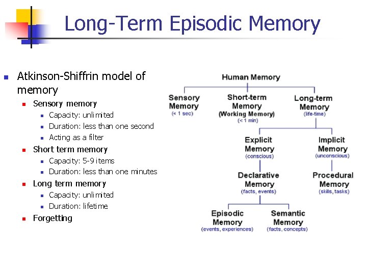 Long-Term Episodic Memory n Atkinson-Shiffrin model of memory n Sensory memory n n Short