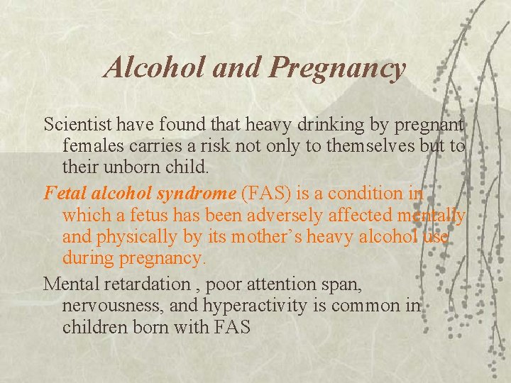 Alcohol and Pregnancy Scientist have found that heavy drinking by pregnant females carries a