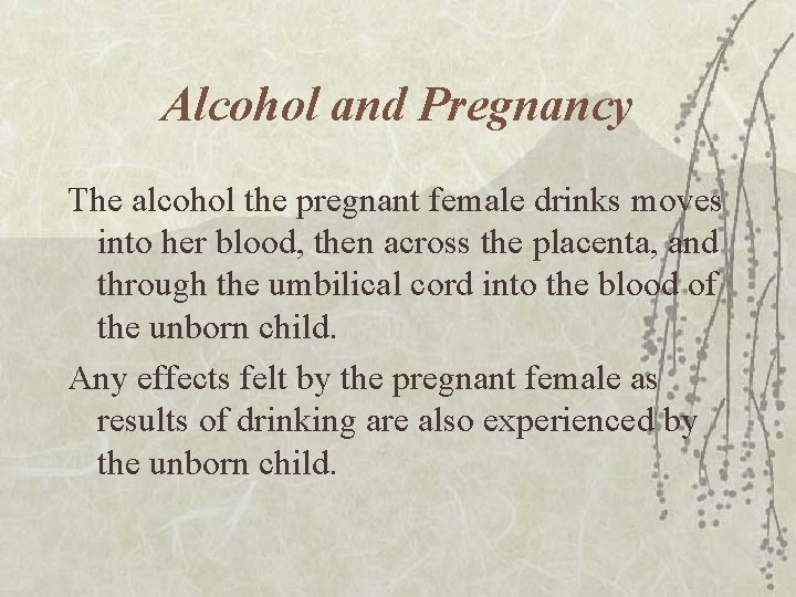 Alcohol and Pregnancy The alcohol the pregnant female drinks moves into her blood, then