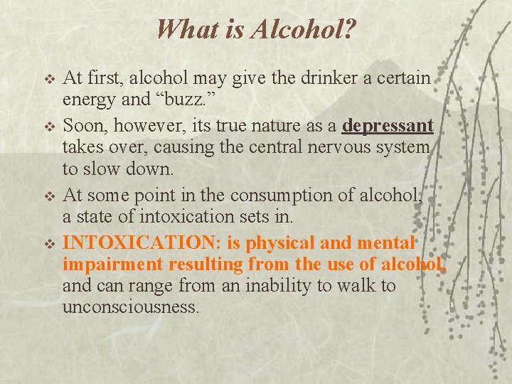 What is Alcohol? v v At first, alcohol may give the drinker a certain