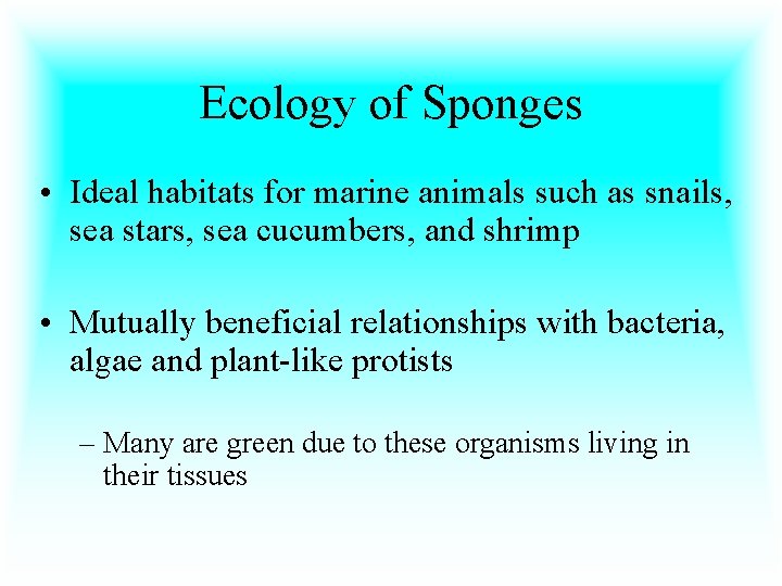 Ecology of Sponges • Ideal habitats for marine animals such as snails, sea stars,