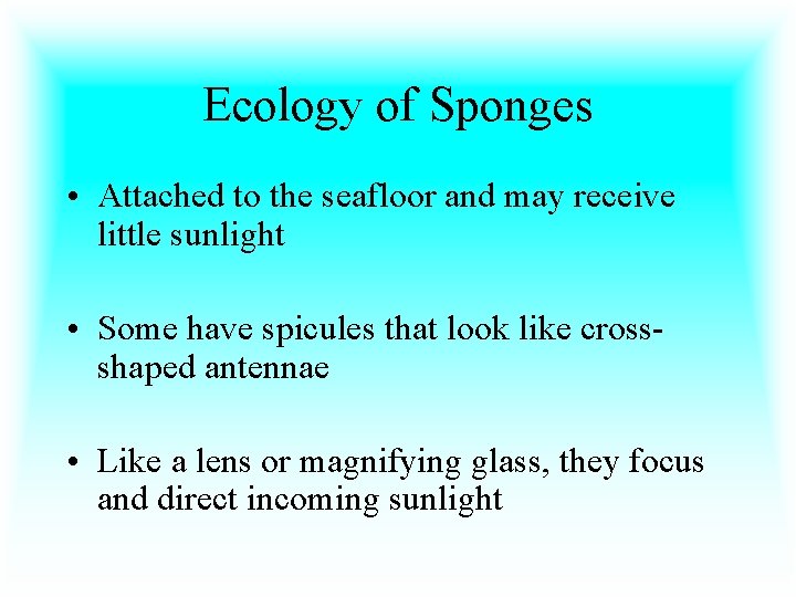 Ecology of Sponges • Attached to the seafloor and may receive little sunlight •