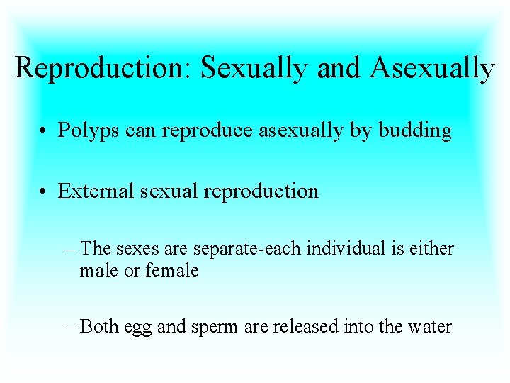 Reproduction: Sexually and Asexually • Polyps can reproduce asexually by budding • External sexual