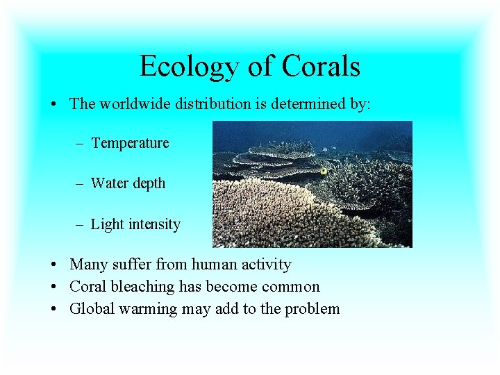 Ecology of Corals • The worldwide distribution is determined by: – Temperature – Water